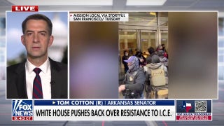 Sen. Cotton fires back against 'disgraceful' Dems over ICE resistance - Fox News