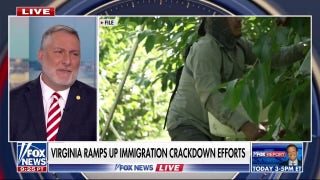 Virginia sees spike in illegal migrant arrests amid nationwide ICE activity - Fox News