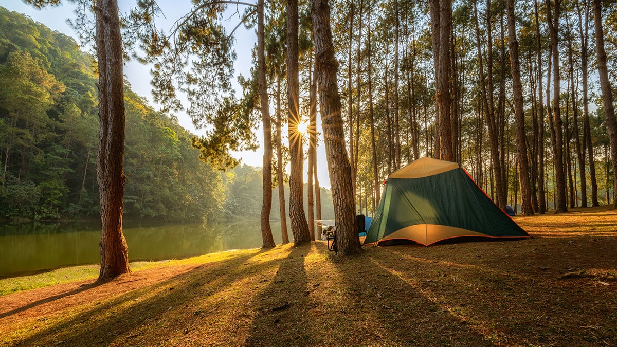 Stay comfortable even in the woods with the right camping equipment. 
