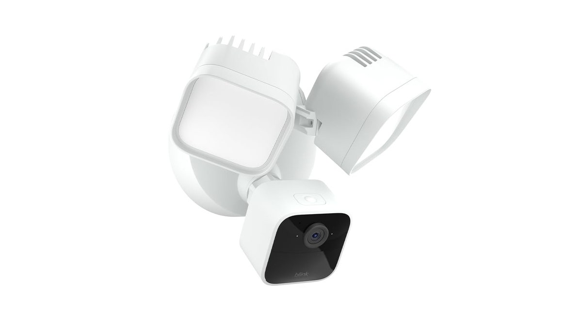 An automatic floodlight helps add even more security to your yard. 